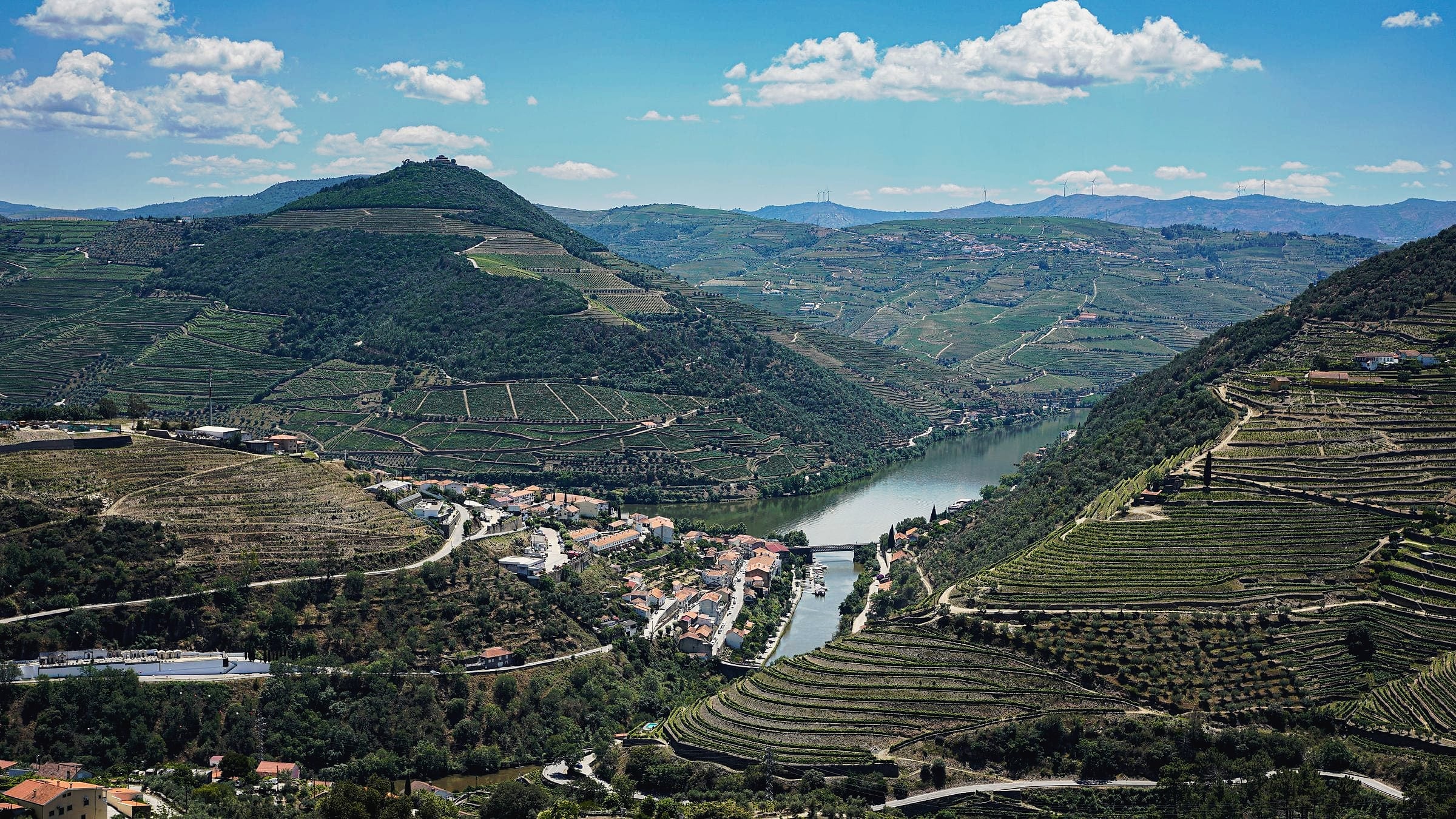 Terraced vineyards falling to the Douro River in northern Portugal.
