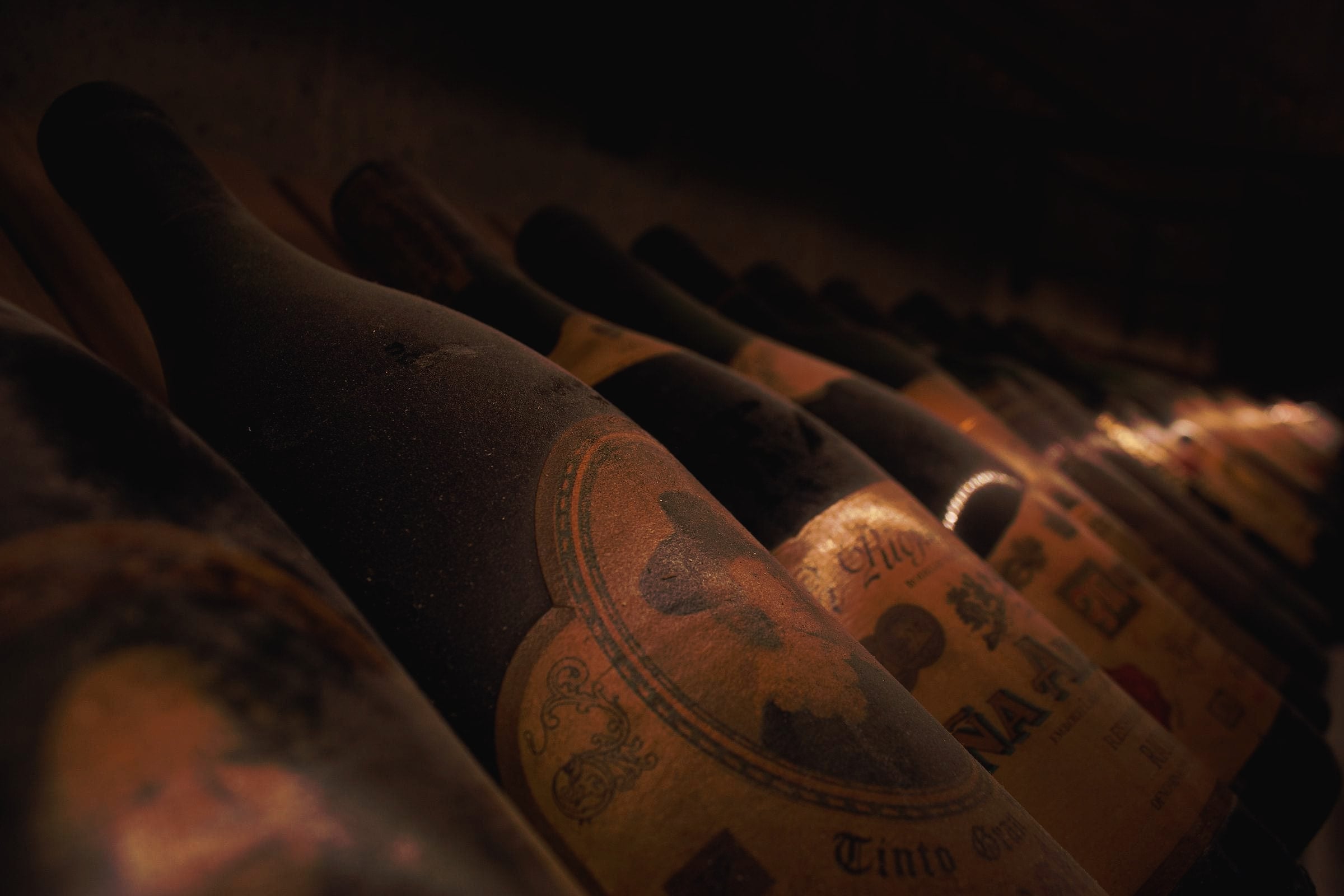 Dusty old wine bottles lying in a dim cellar.
